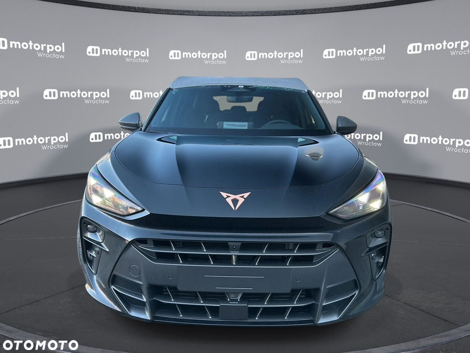 Cupra Terramar - 2