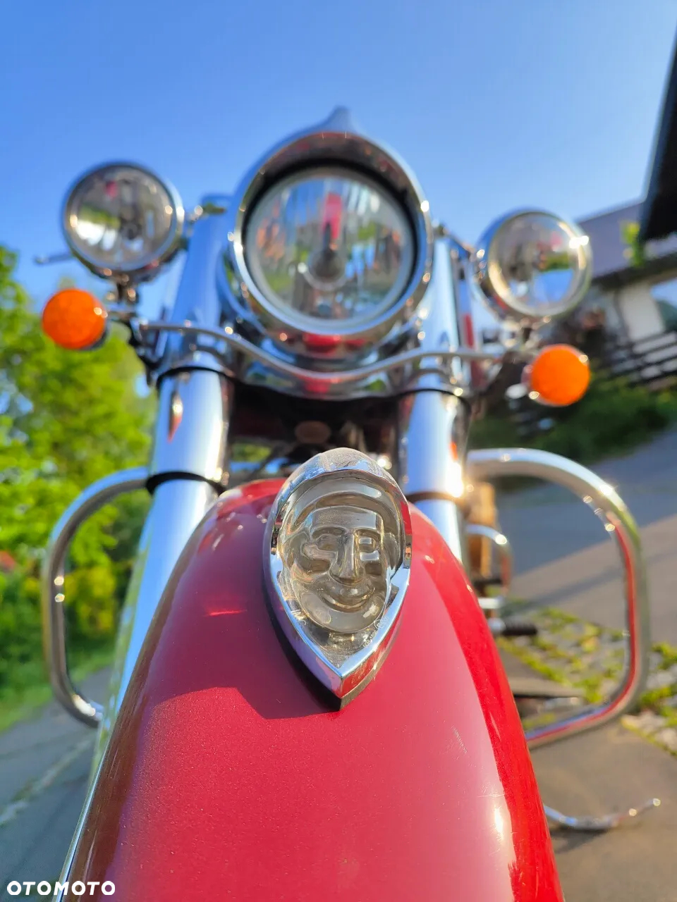 Indian Chief - 19