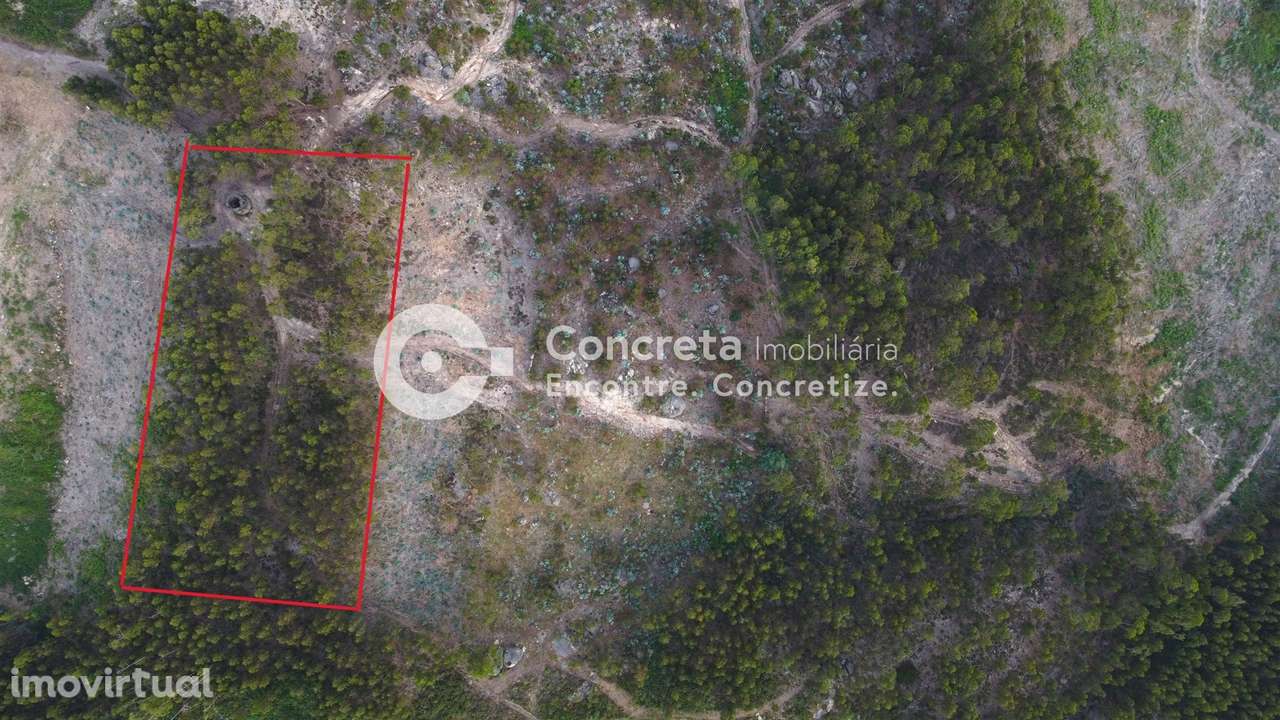 Moinho histórico em Guimarães - Grande imagem: 5/12