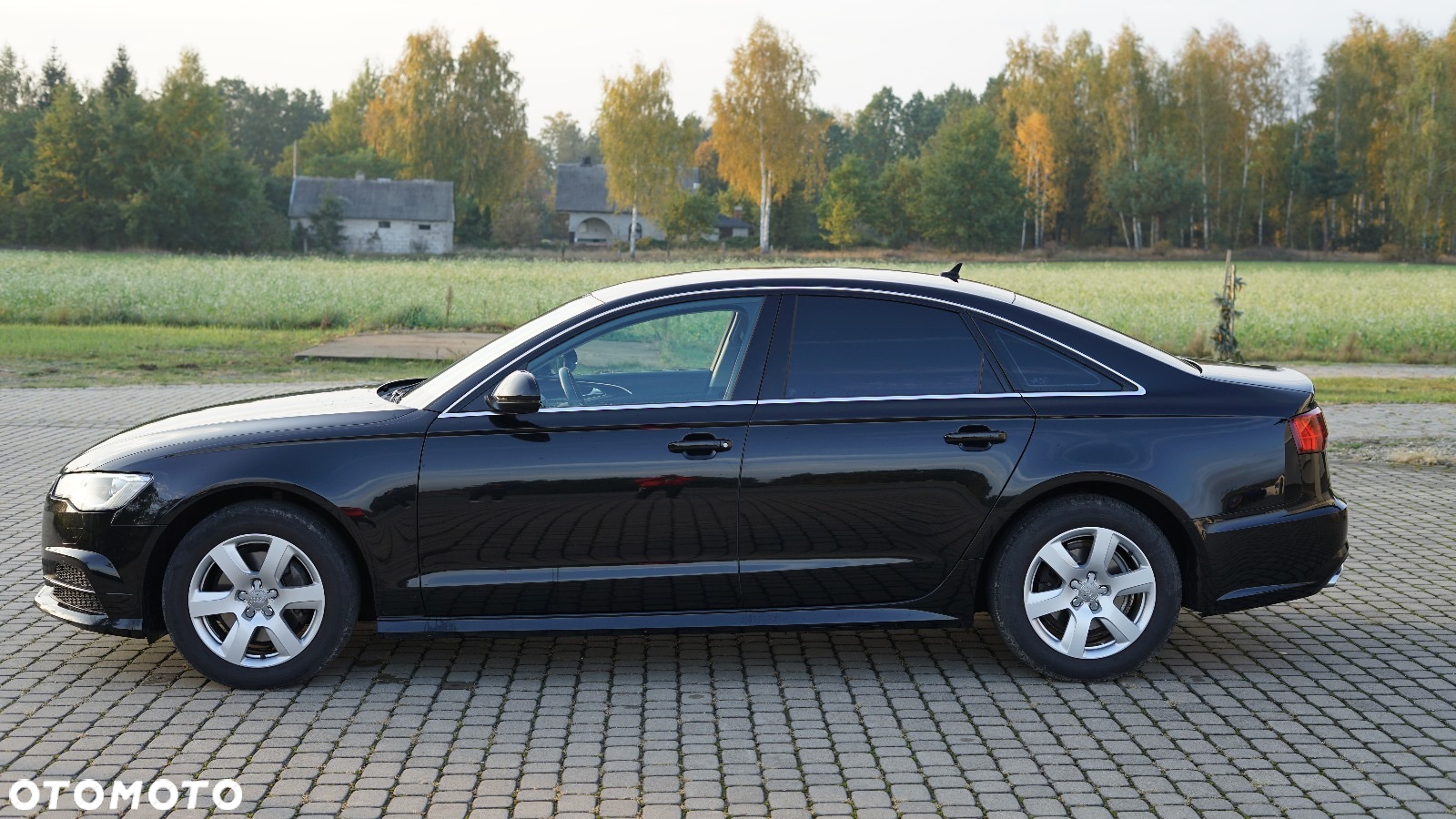 Audi A6 2.0 TDI ultra S tronic - 8