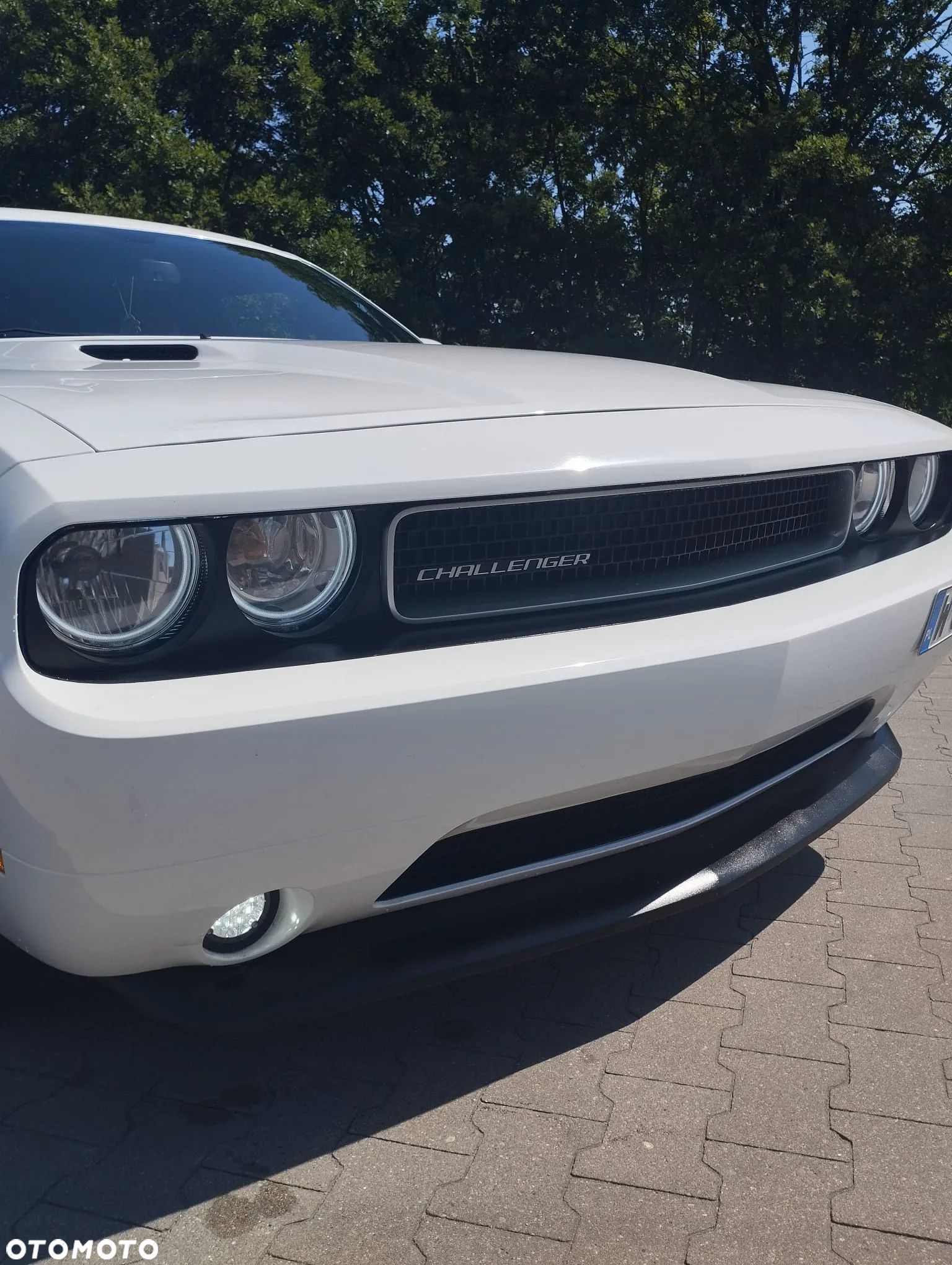 Dodge Challenger Automatik SXT Plus - 1