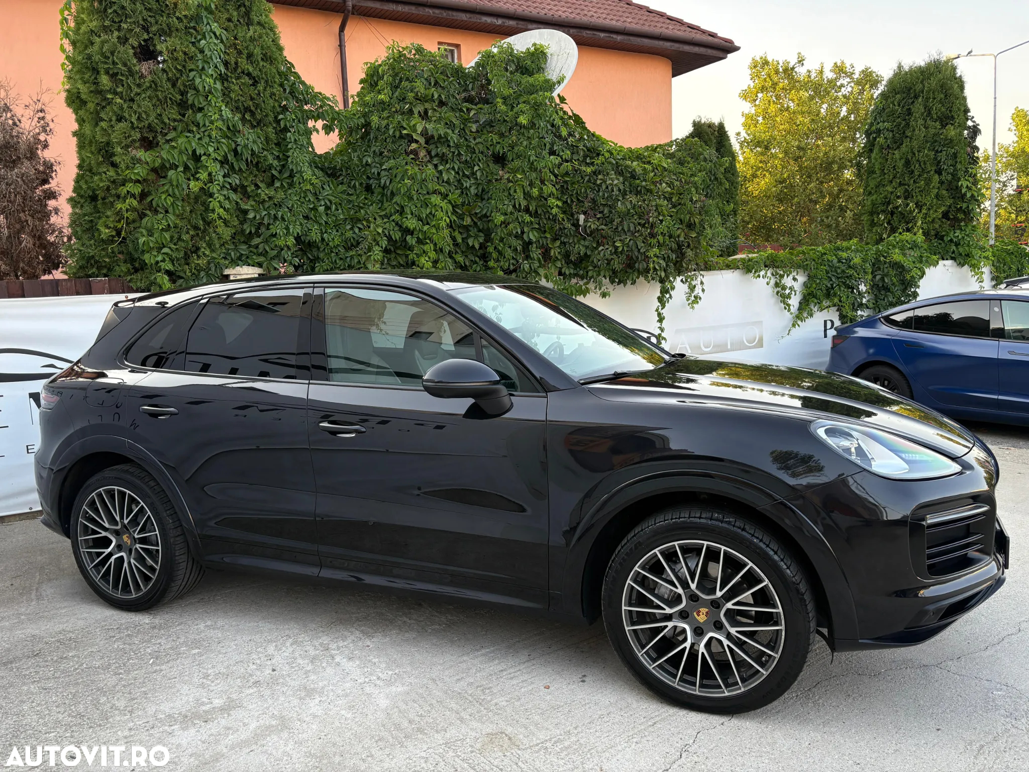 Porsche Cayenne Standard - 7