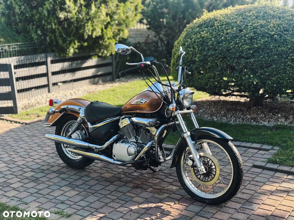 Suzuki Intruder - 1