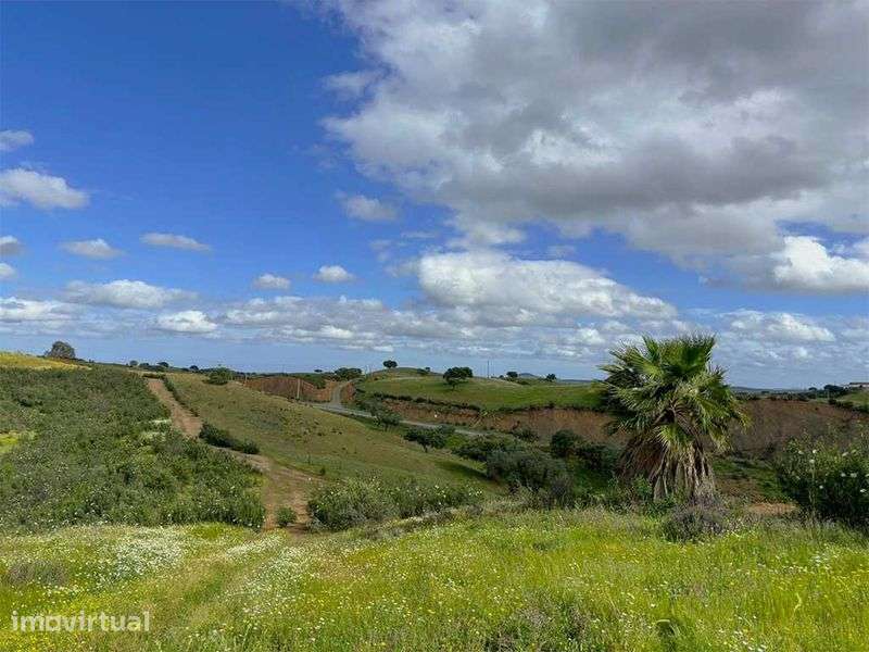 Herdade de 45 ha com Ruína de 300 m² – Próximo da Mina de S. Domingos - Grande imagem: 5/8