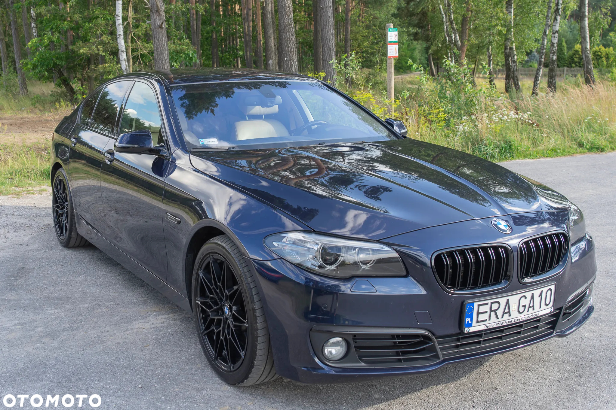 BMW Seria 5 525d xDrive Luxury Line - 13