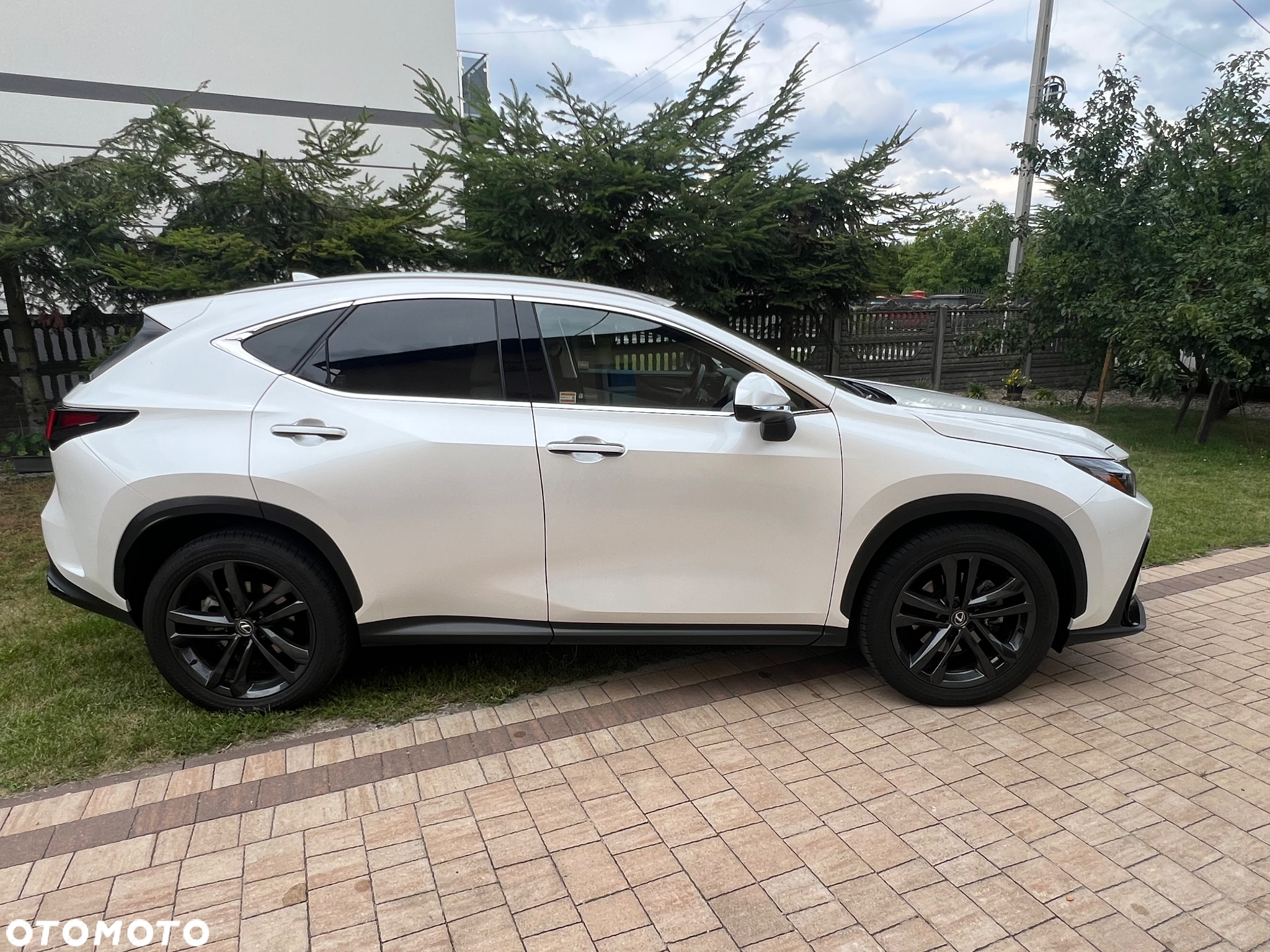 Lexus NX 350h Prestige AWD - 8