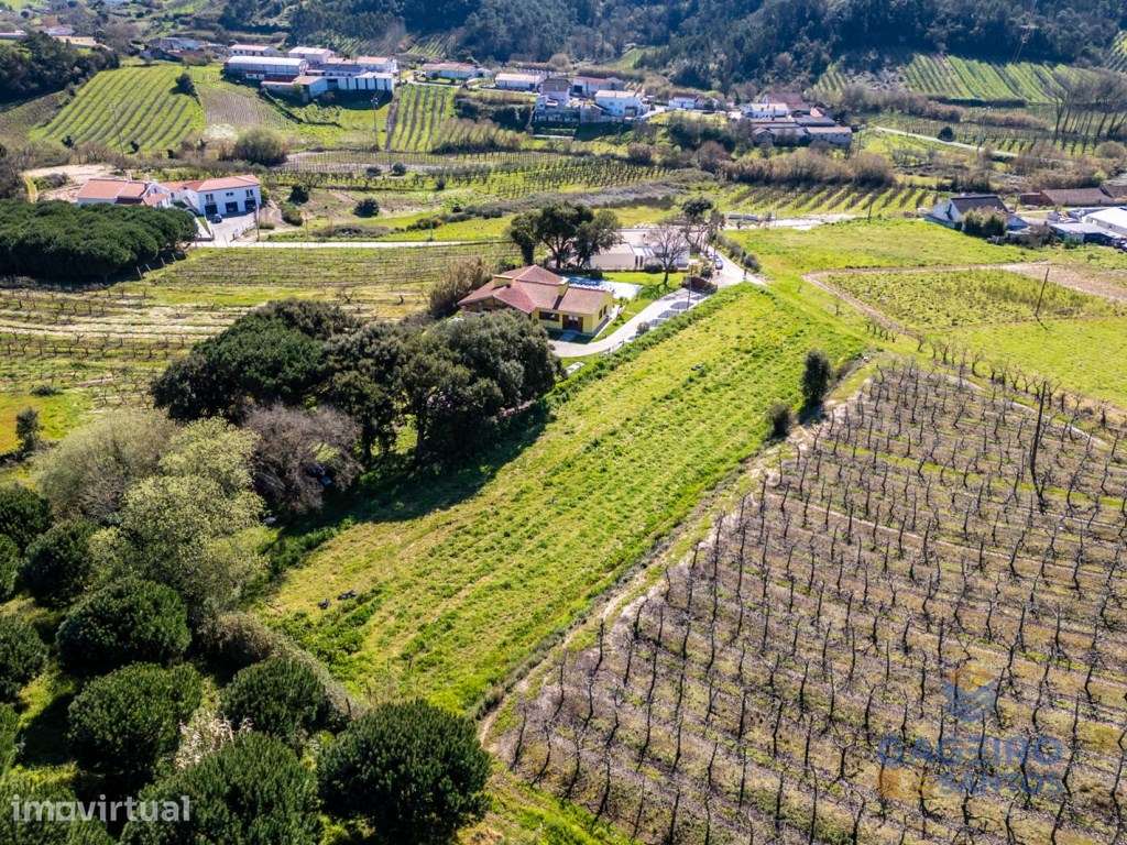 Terreno com PIP aprovado para construção de duas moradias em Alfeiz... - Grande imagem: 5/12