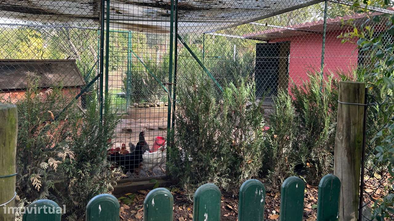 Quinta T3 Venda em Refojos de Basto, Outeiro e Painzela,Cabeceiras de - Grande imagem: 3/16
