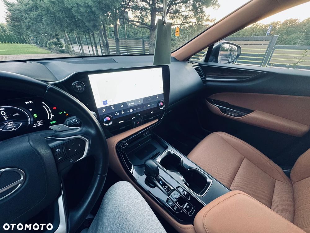 Lexus NX - 31