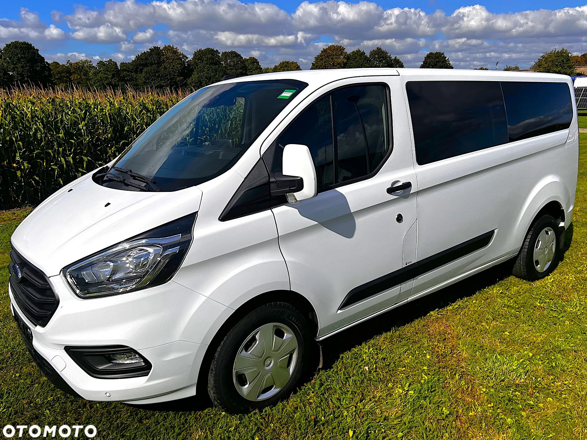 Ford Transit Custom - 1