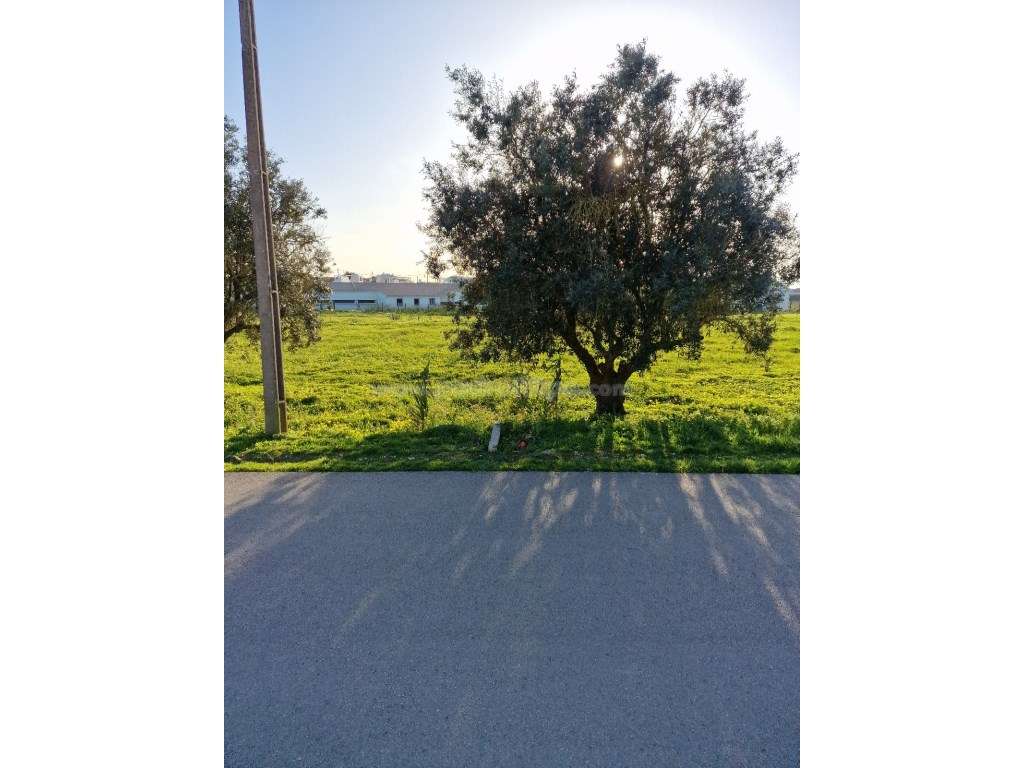 Terreno Para Construção na Azoia - Grande imagem: 4/4