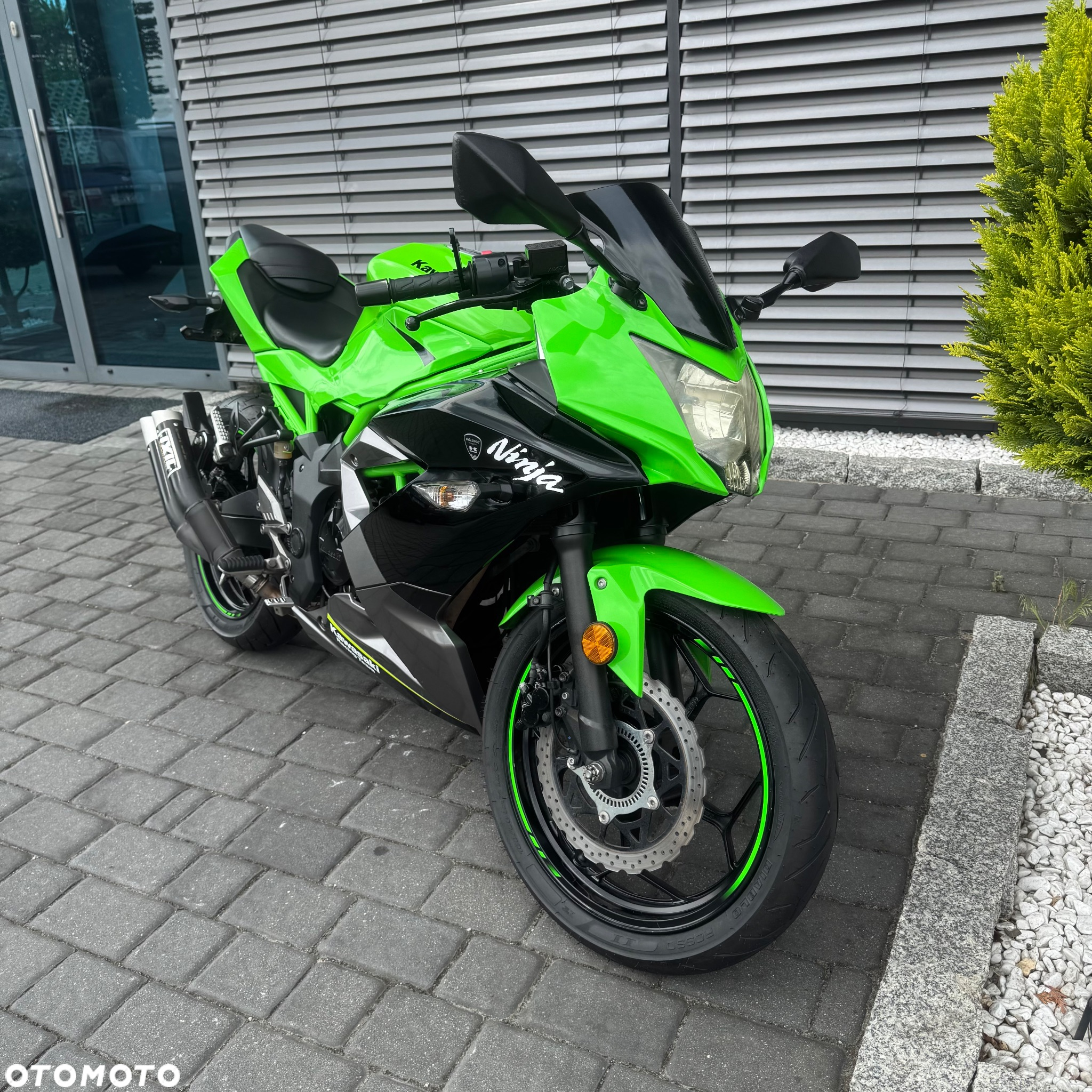 Kawasaki Ninja - 4