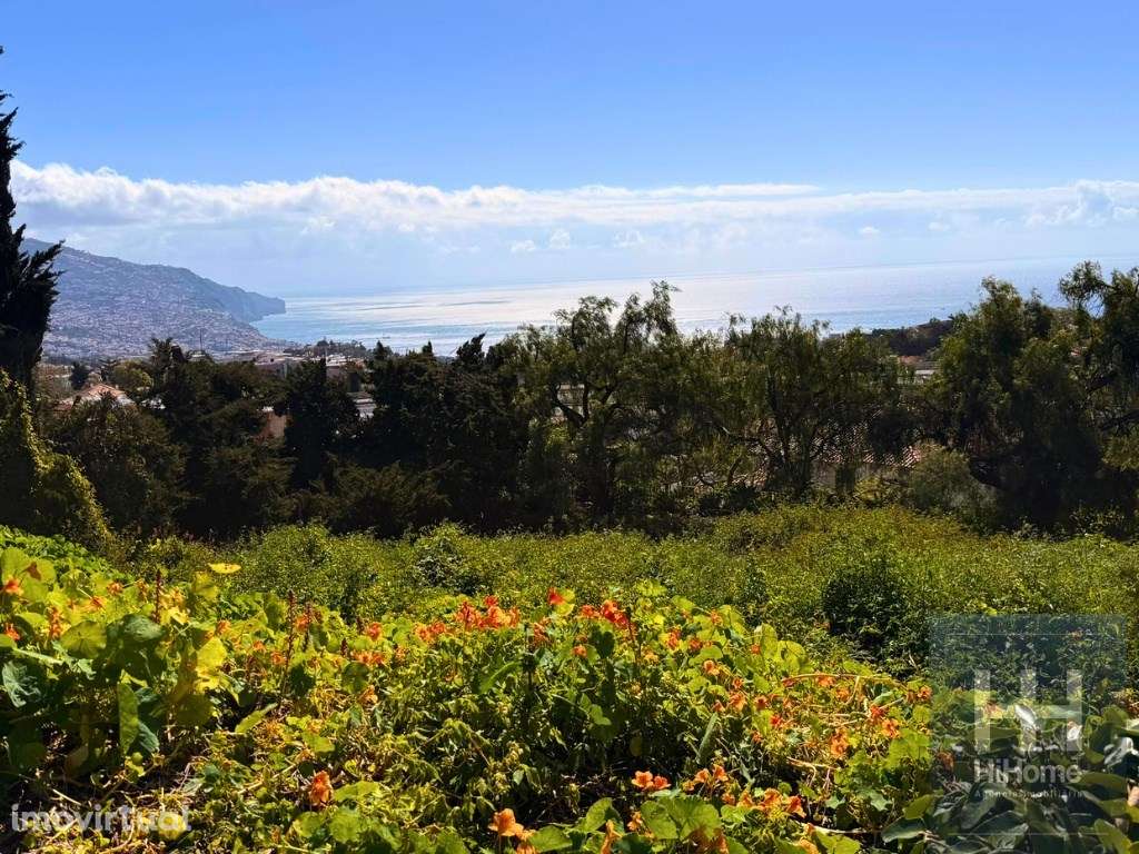 Terreno com 1.607 m2 para construção no Funchal - Grande imagem: 4/14