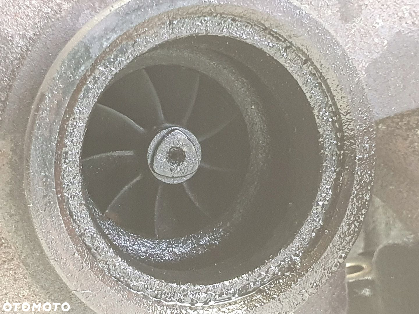Opel Vectra C 1.9 CDTI 8V TURBOSPRĘŻARKA turbo 55205474 - 8