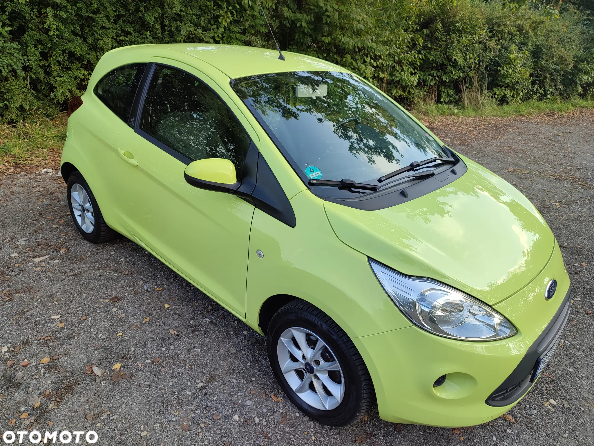 Ford KA 1.2 Start-Stopp-System Champions Edition - 2