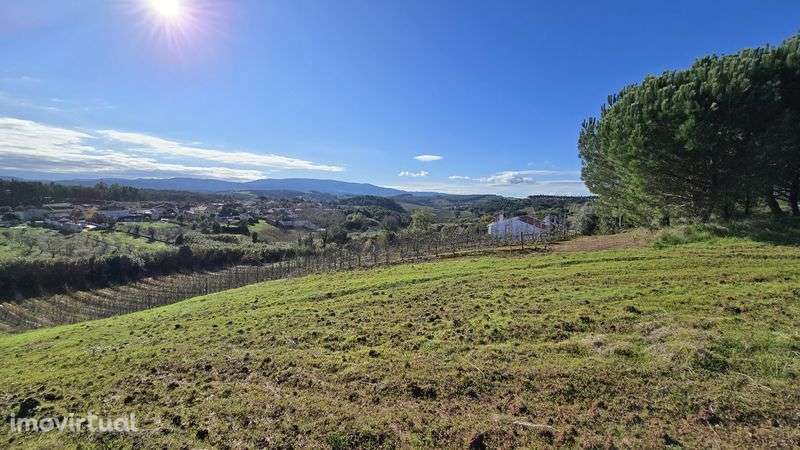 Terreno com 2.500 m² - Grande imagem: 3/5