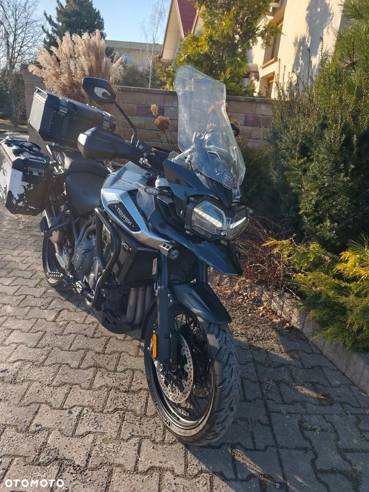 Triumph Tiger - 15