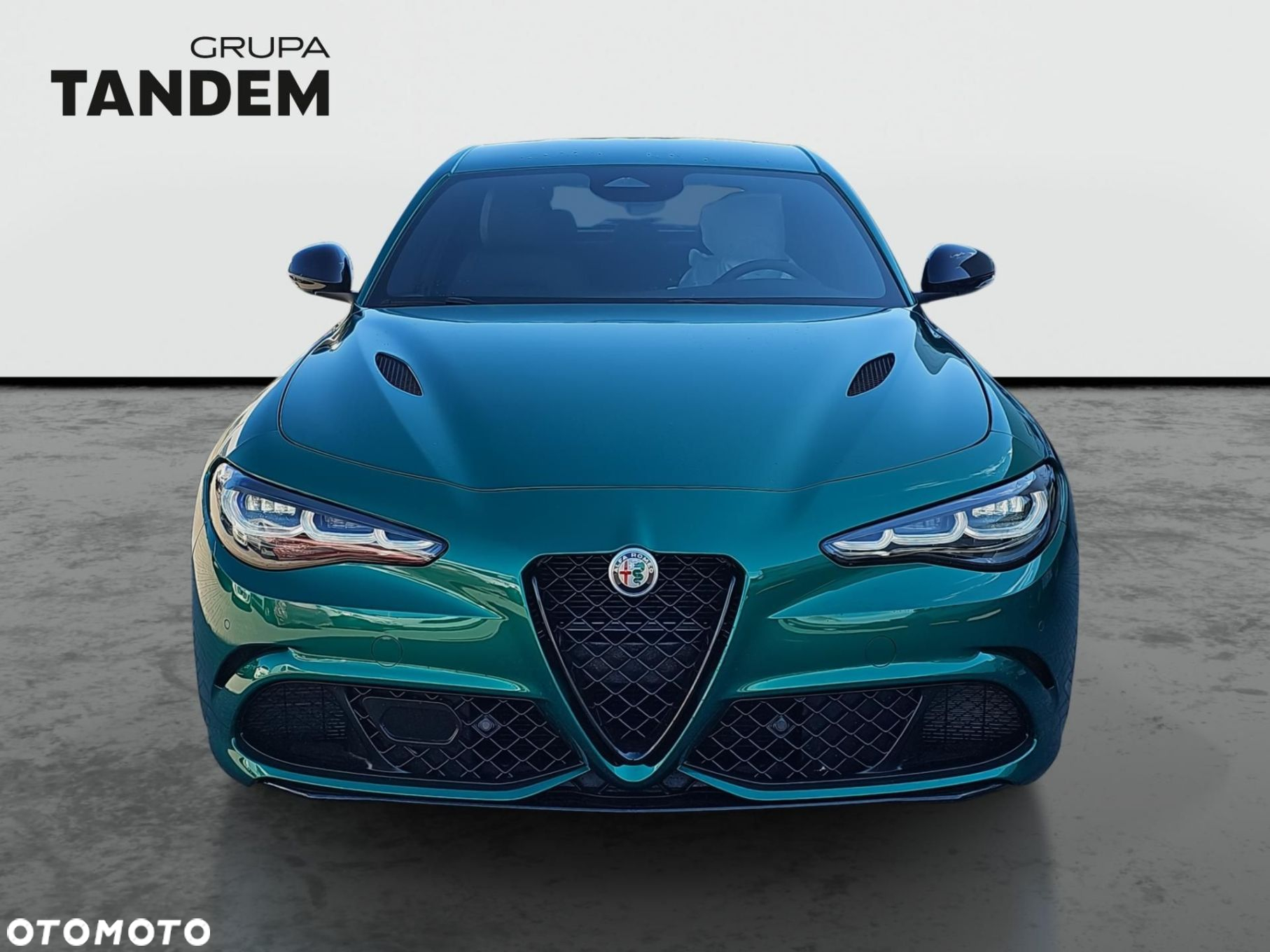 Alfa Romeo Giulia 2.9 Bi Turbo V6 Quadrifoglio - 2