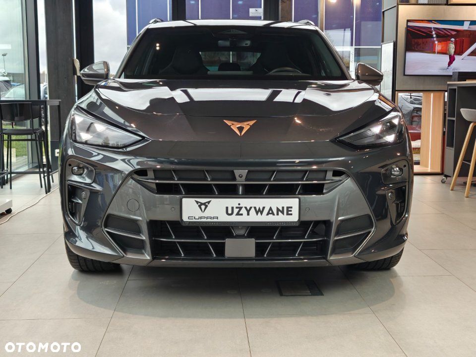 Cupra Terramar - 3