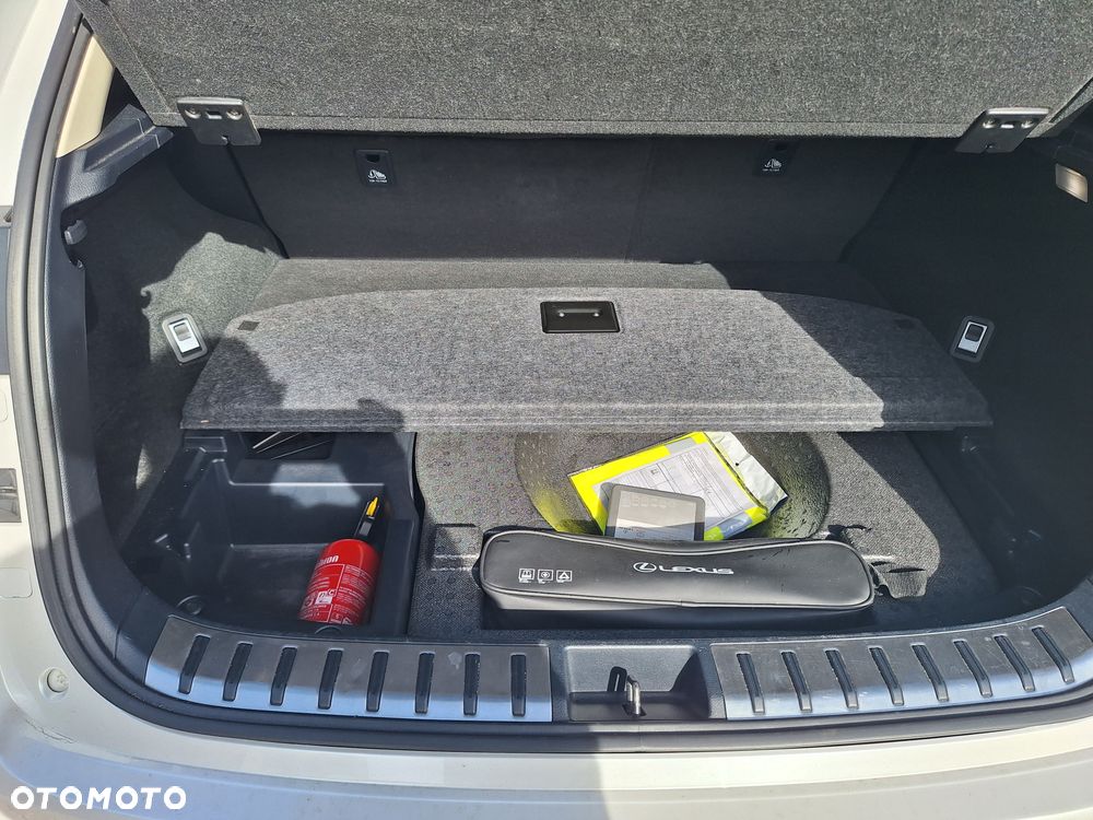 Lexus NX 300 Elegance 2WD - 19