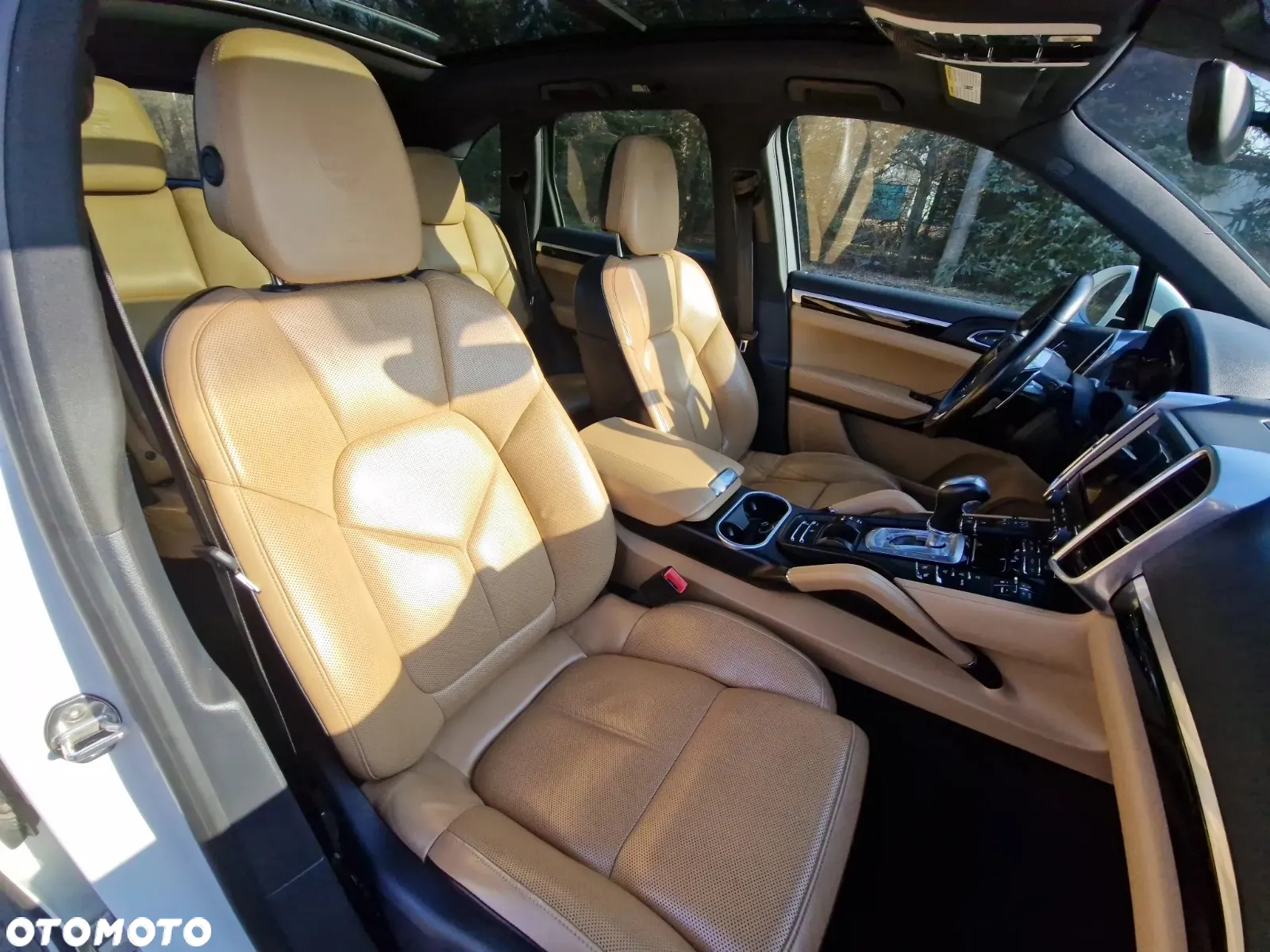 Porsche Cayenne Platinum Edition - 17