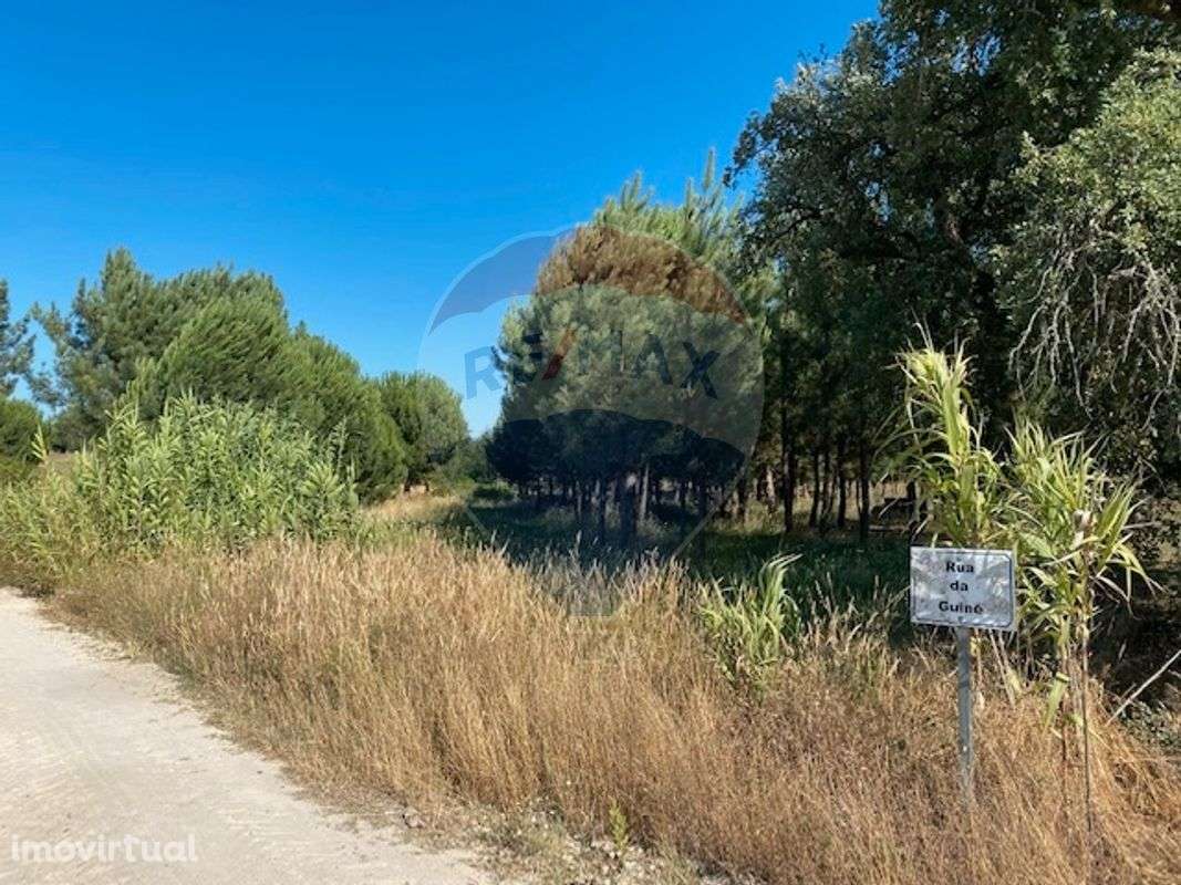 Terreno  para venda - Grande imagem: 4/6