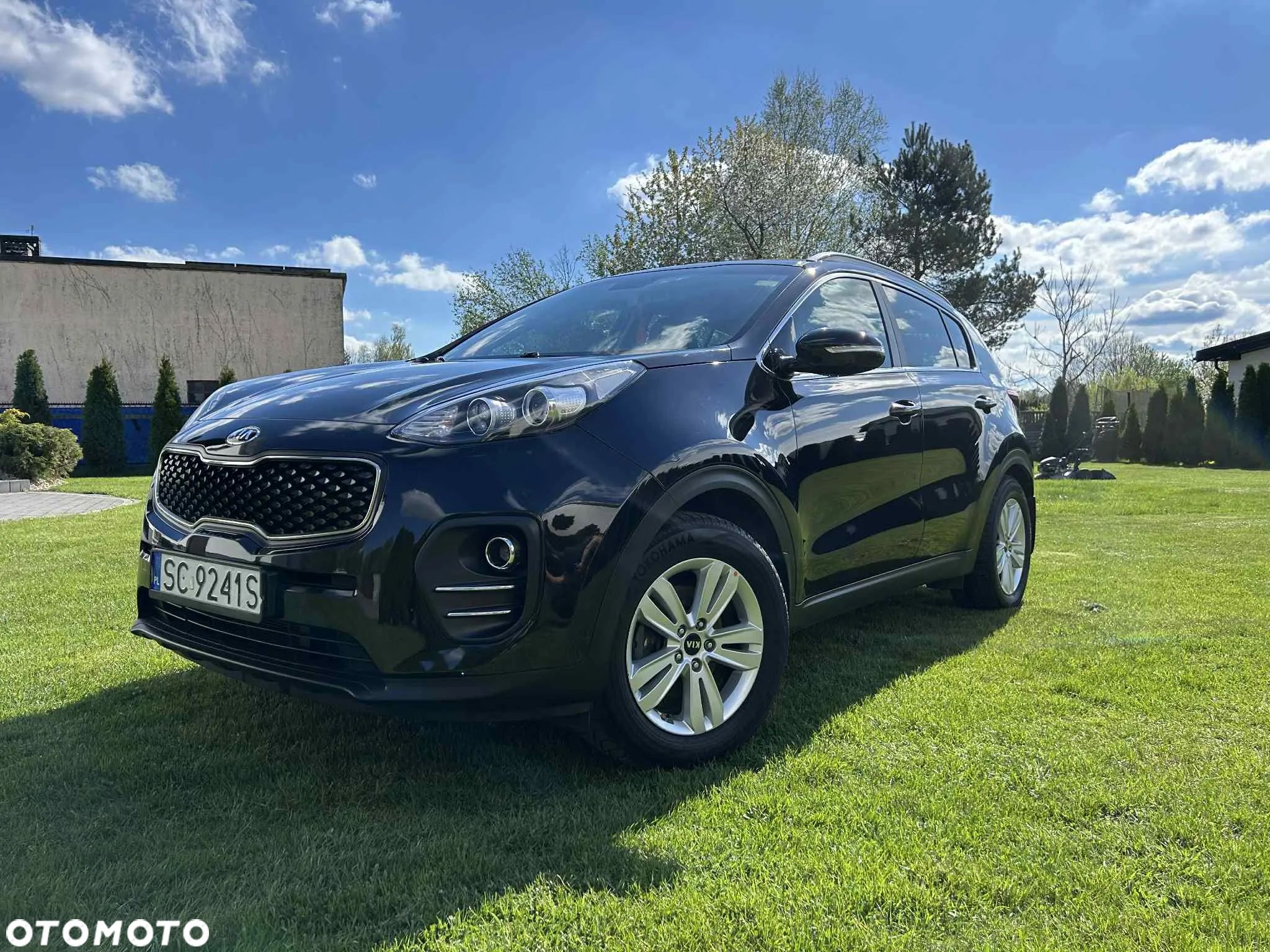 Kia Sportage - 1