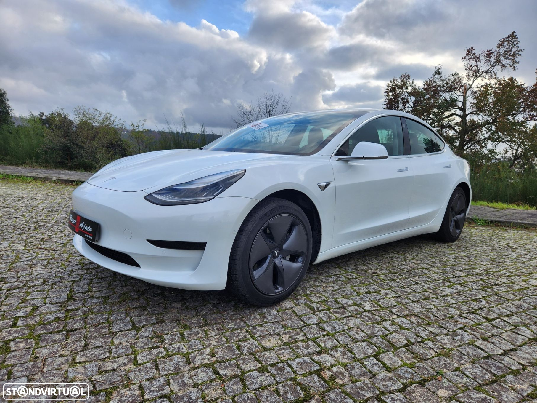 Tesla Model 3 Standard RWD Plus - 59