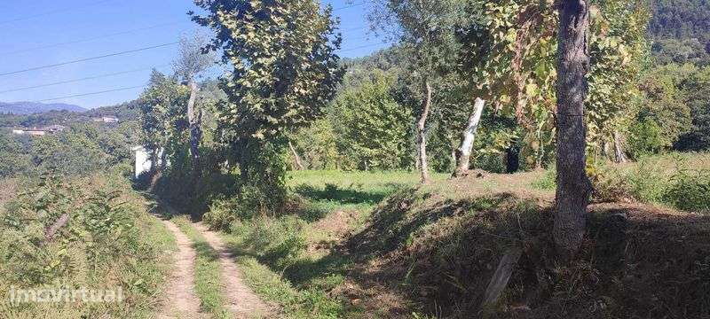 Vendo terreno com 1.074 m² em Souto, Terras de Bouro - Grande imagem: 3/12