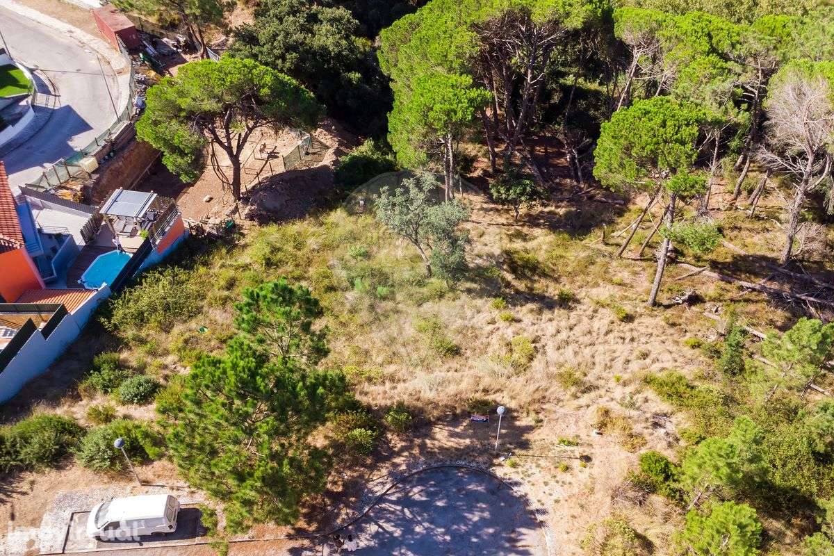 Terreno  para venda - Grande imagem: 4/12