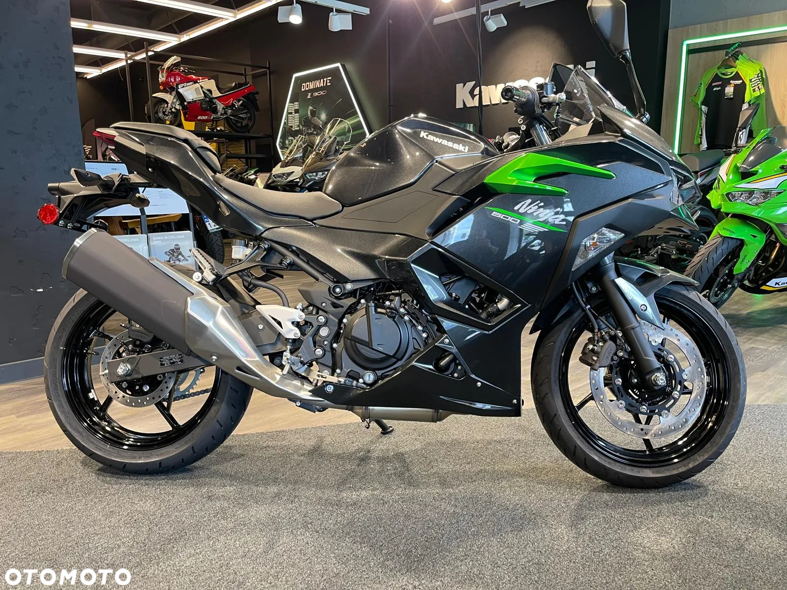Kawasaki Ninja - 2