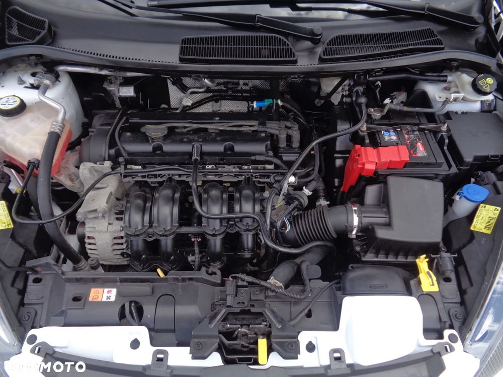 Ford Fiesta 1.25 Champions Edition - 7