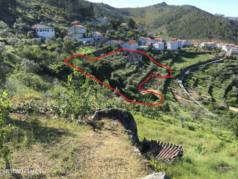 Venda de casa e terreno