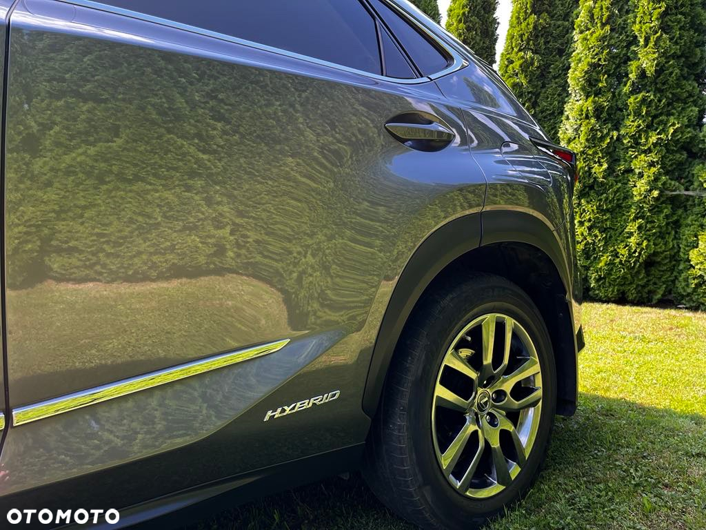 Lexus NX 300 Elegance AWD - 7