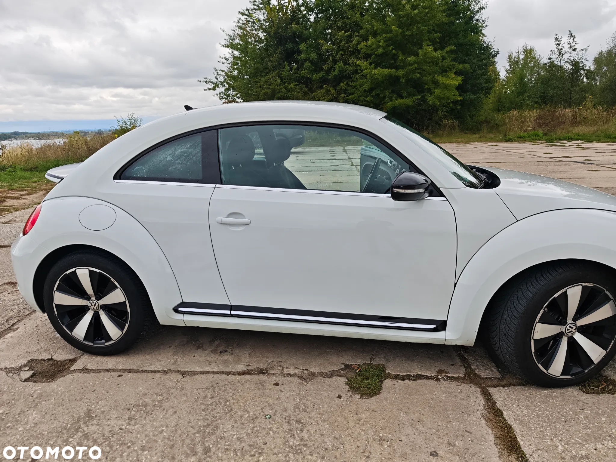 Volkswagen Beetle - 4