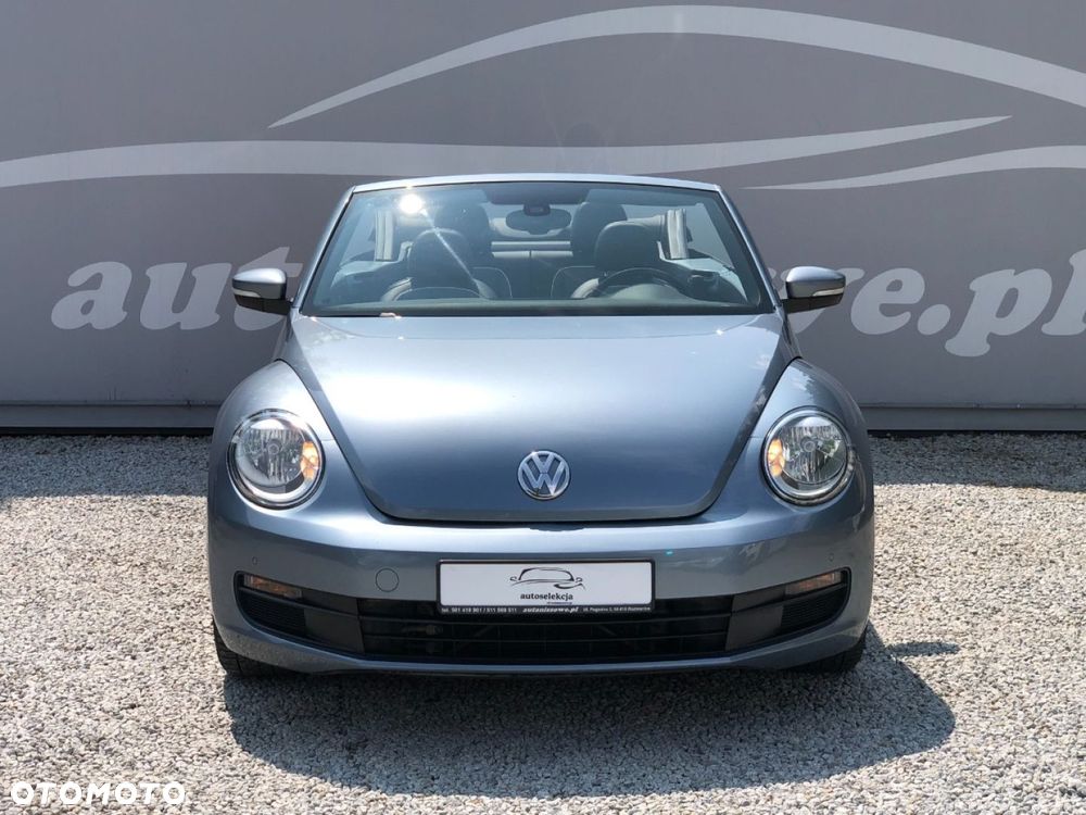 Volkswagen Beetle - 13