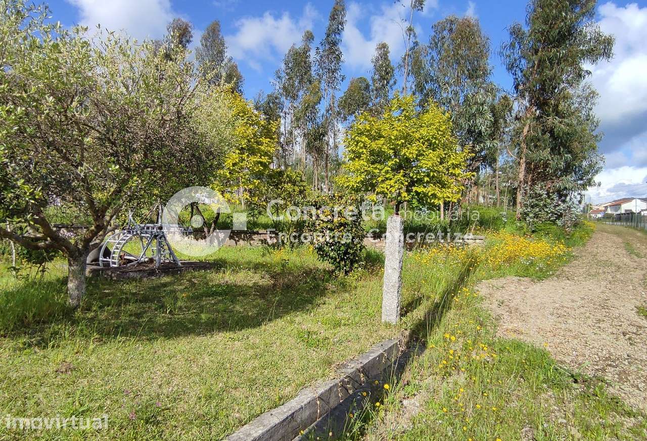 Terreno para Construção em Várzea, Barcelos - Grande imagem: 2/8