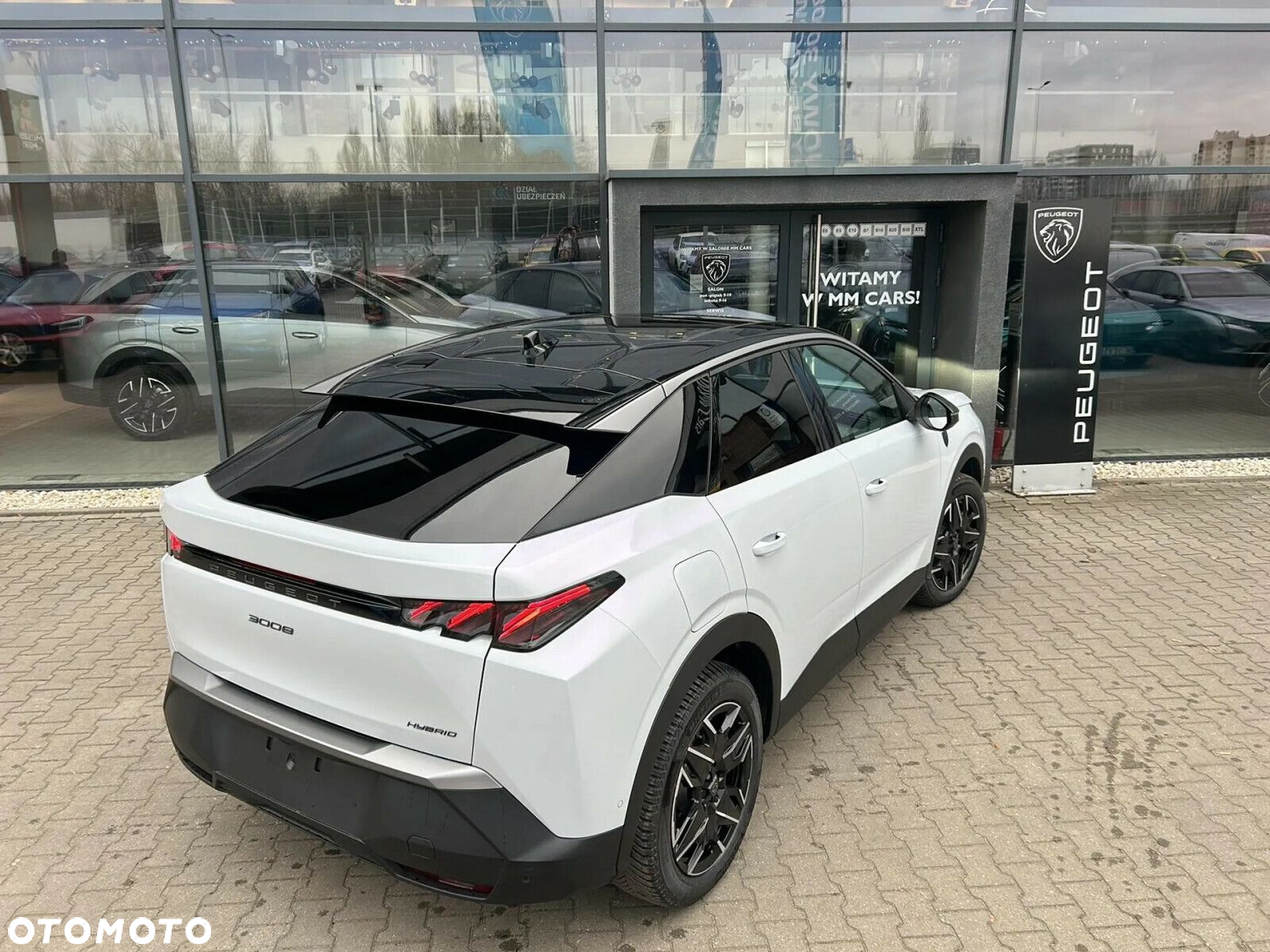 Peugeot 3008 - 30