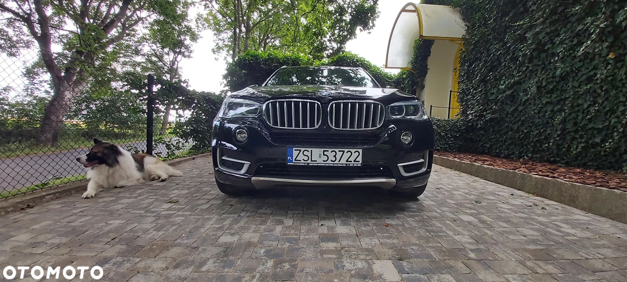 BMW X5 - 1