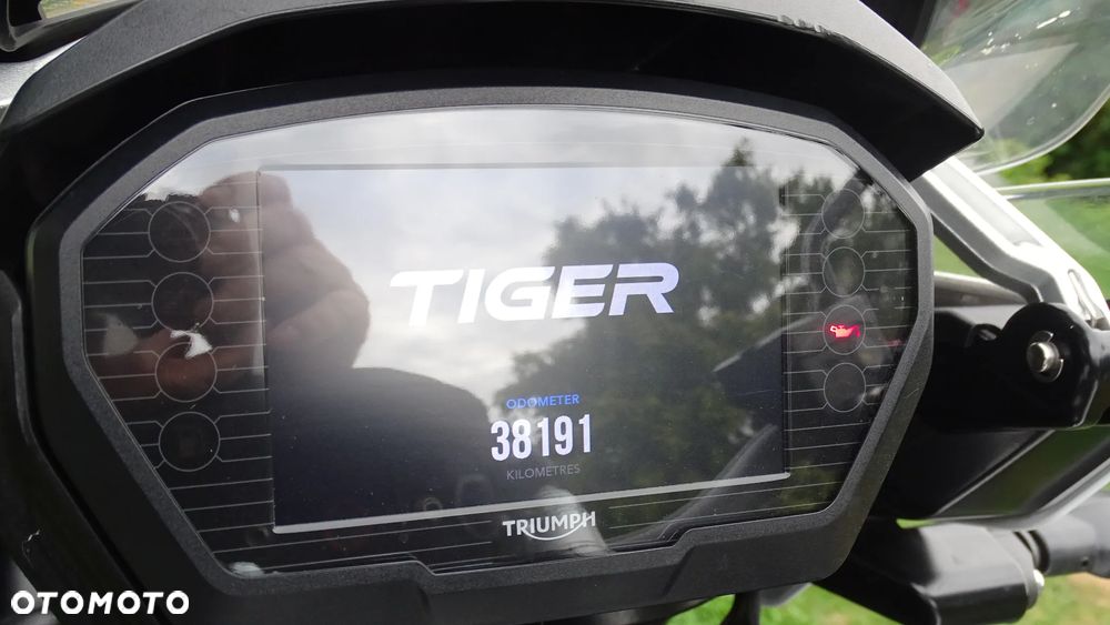 Triumph Tiger - 6