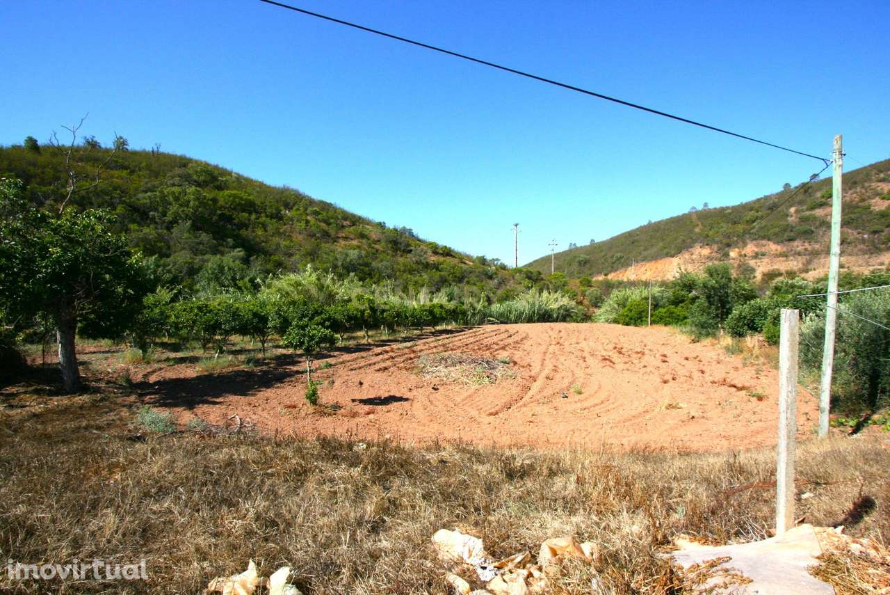 Quintinha no campo com horta  e arvores de fruta em Zebro de Baixo, Me - Grande imagem: 2/27
