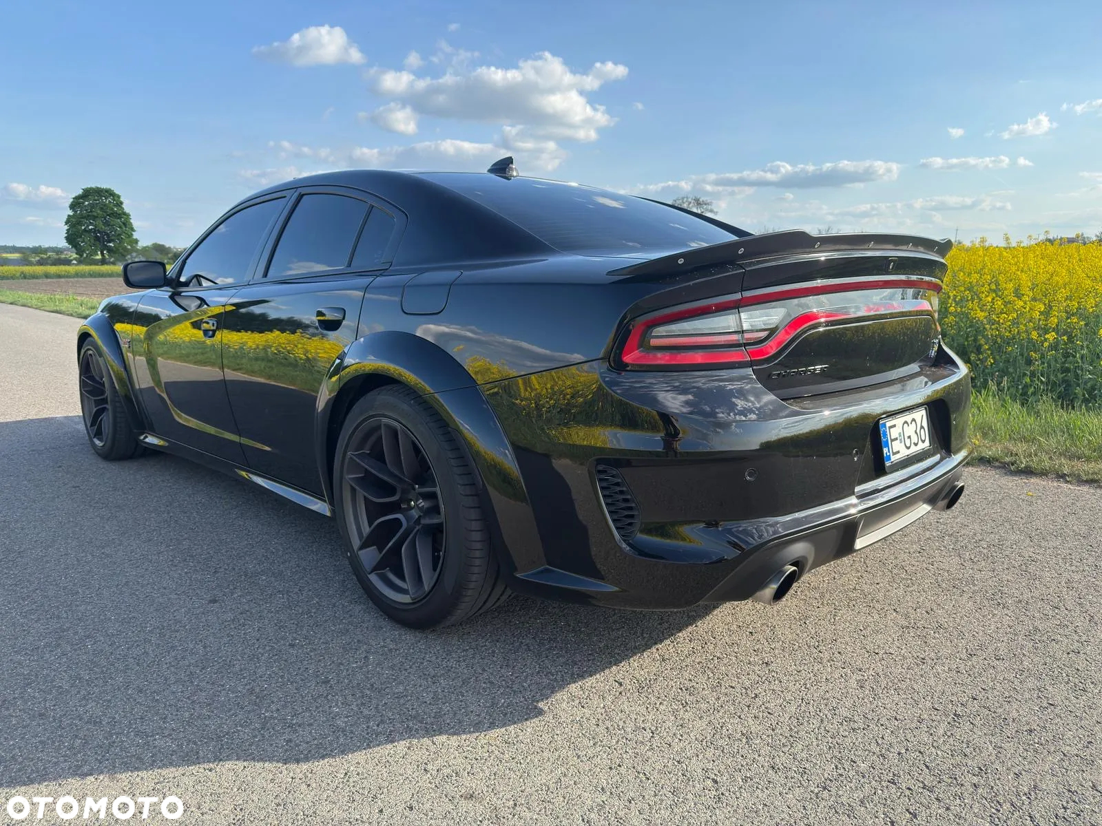 Dodge Charger 6.4 Scat Pack Widebody - 16