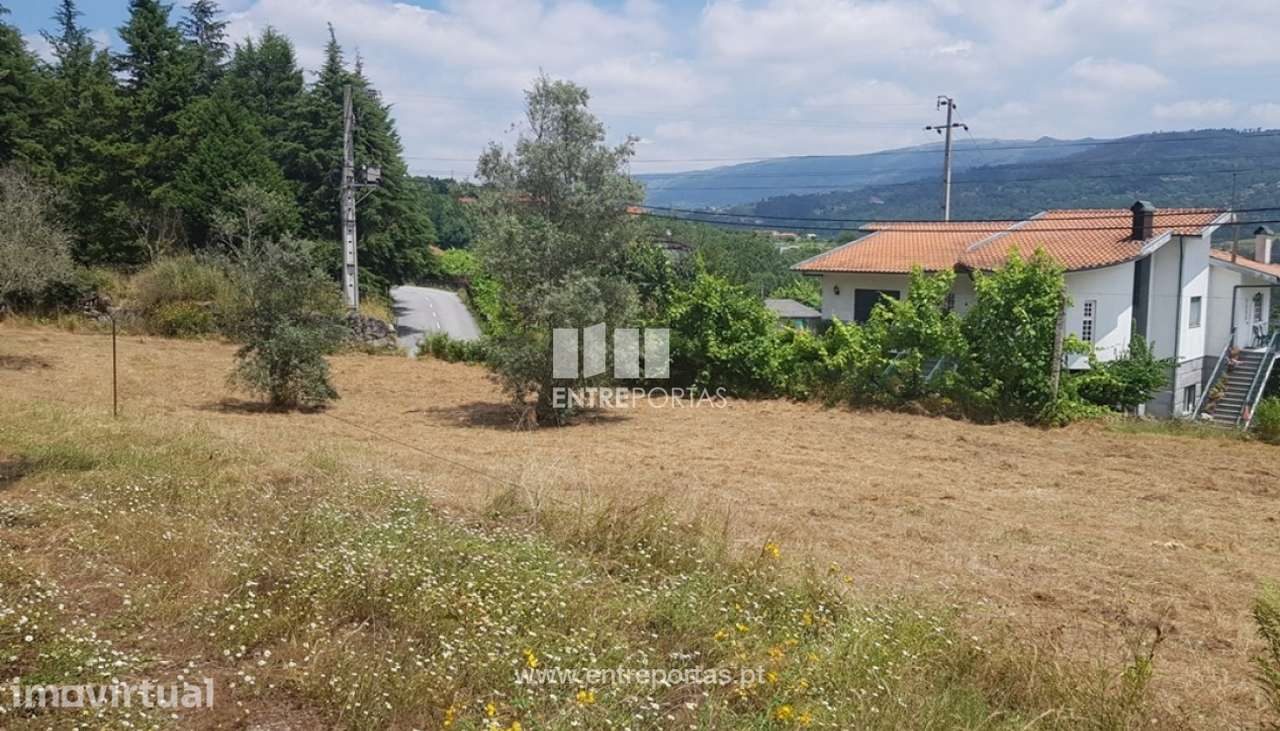 Venda Terreno, Várzea de Ovelha e Aliviada, Marco de Canaveses - Grande imagem: 4/8
