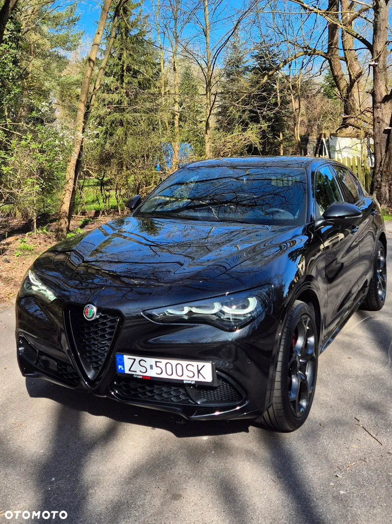 Alfa Romeo Stelvio 2.2 Diesel 16V AT8 Q4 Veloce Ti - 8