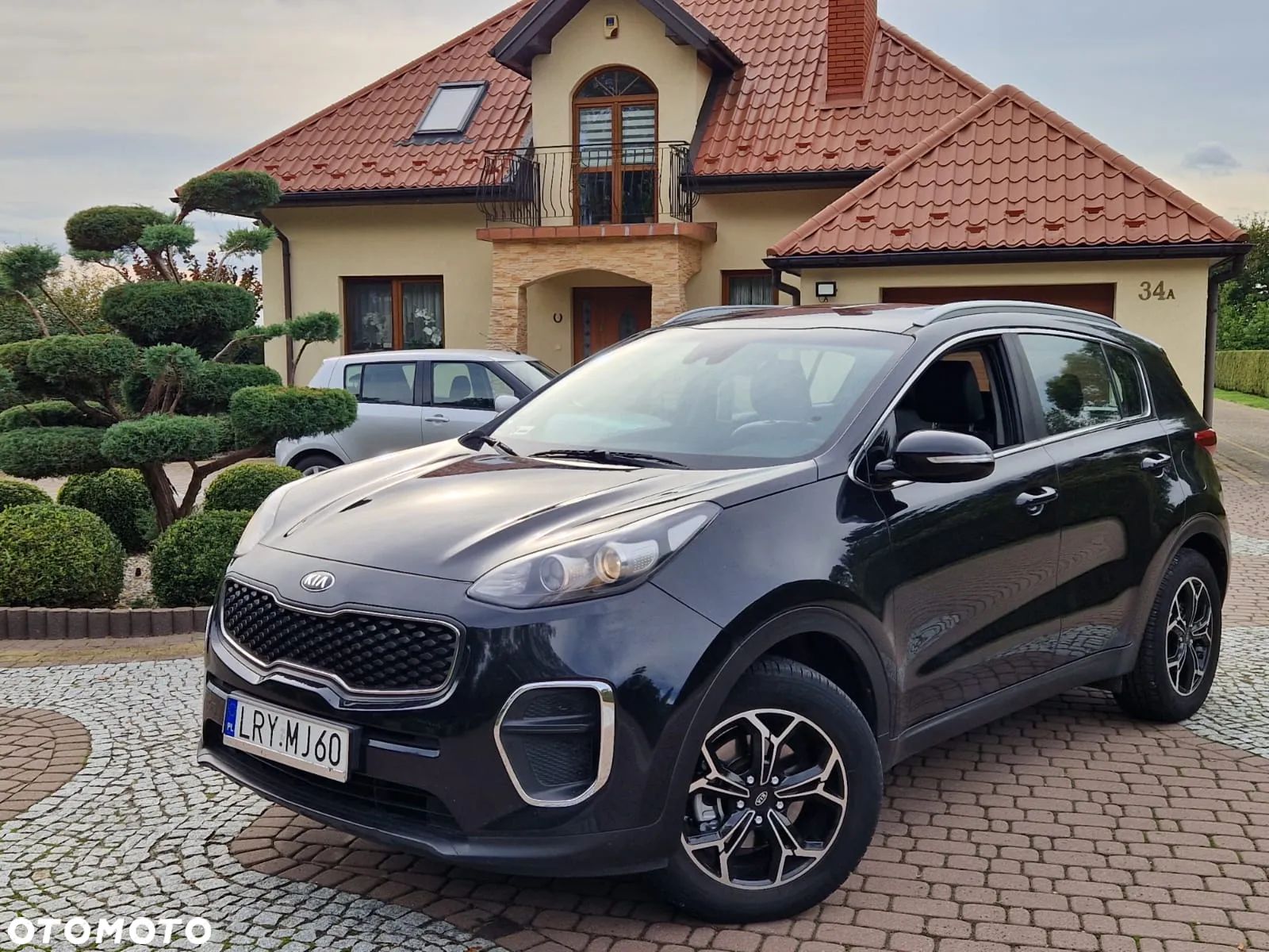 Kia Sportage - 1