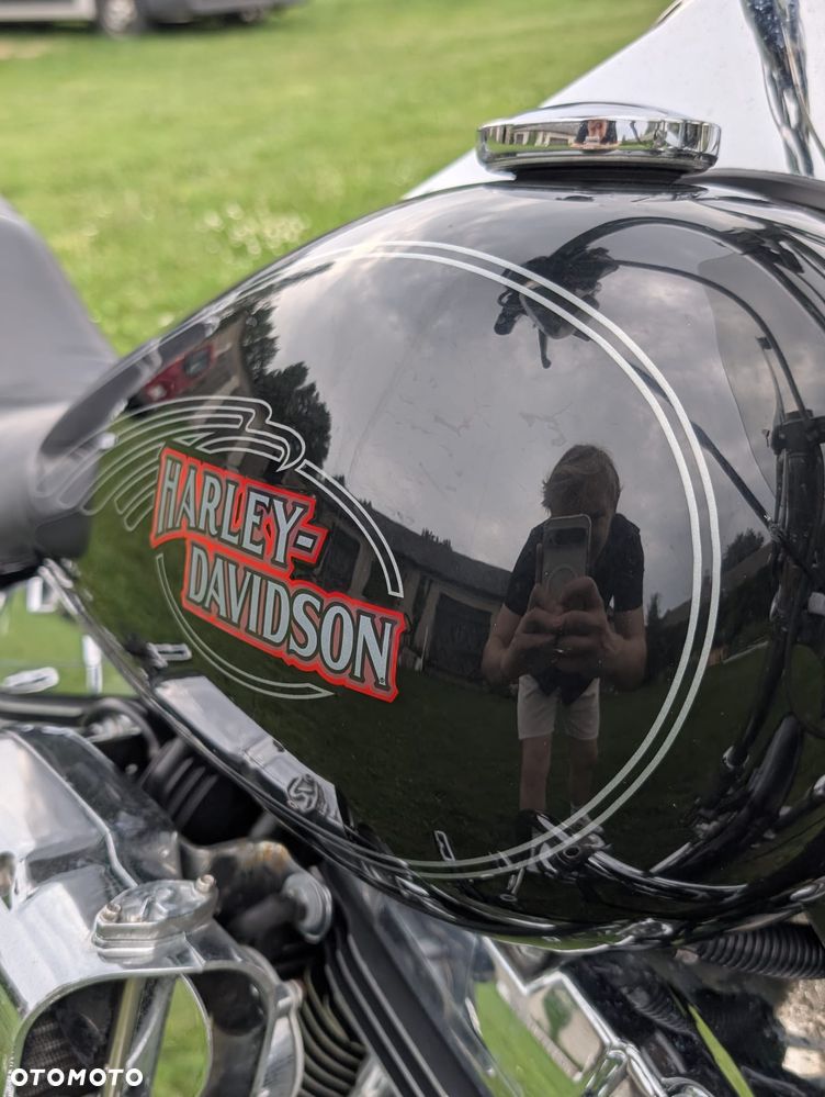Harley-Davidson Softail Custom - 7