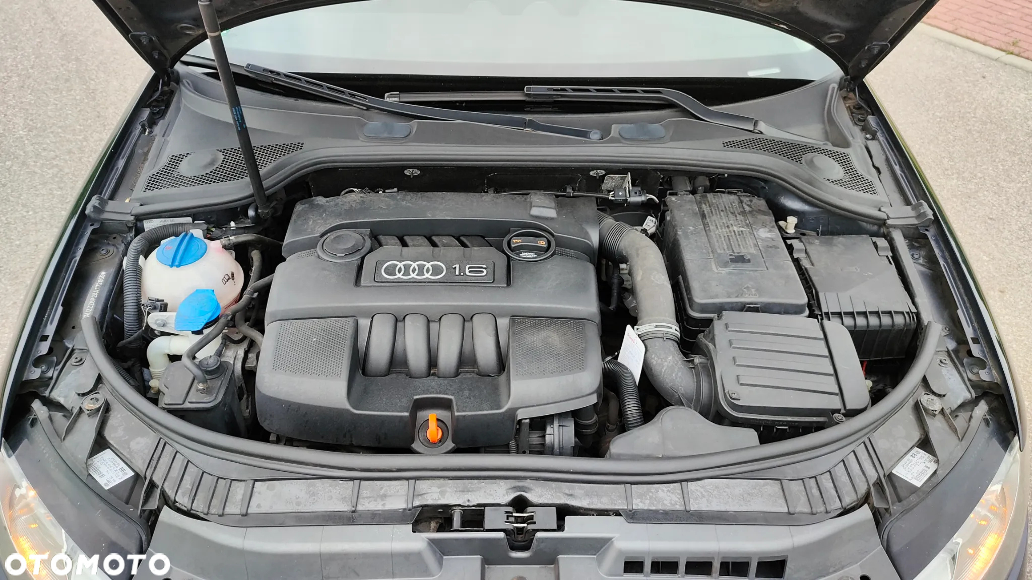 Audi A3 1.6 Sportback Attraction - 12
