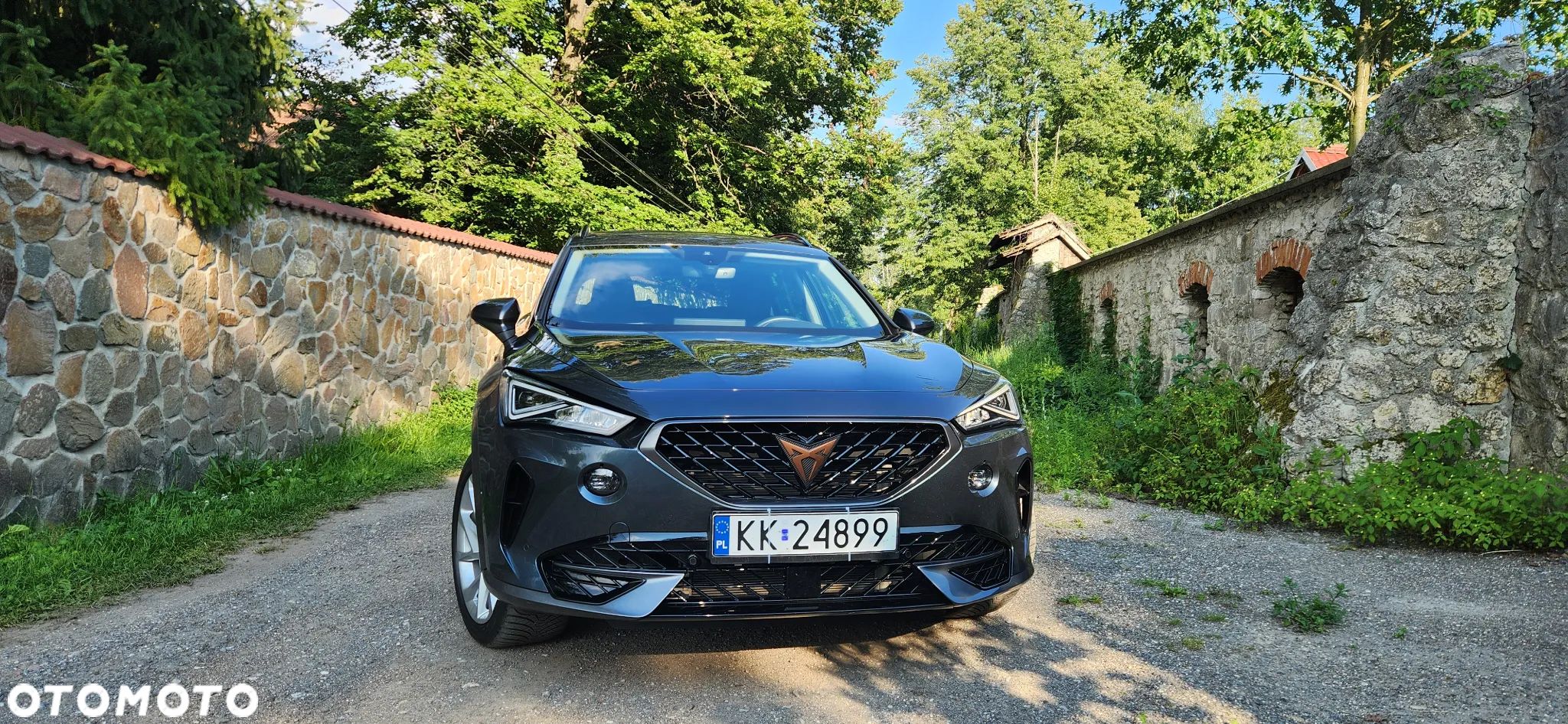 Cupra Formentor 2.0 TDI 4Drive DSG - 1