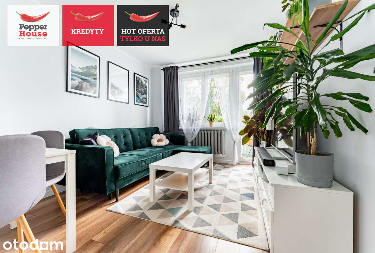 3 pokojowe mieszkanie po remoncie | balkon | winda