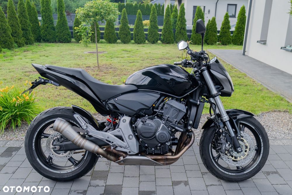 Honda Hornet - 3